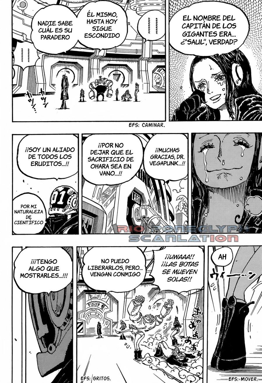 One Piece capítulo 1066 - página 13