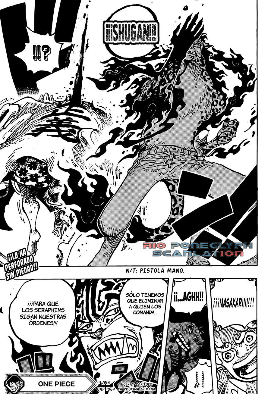 One Piece capítulo 1069 - página 14