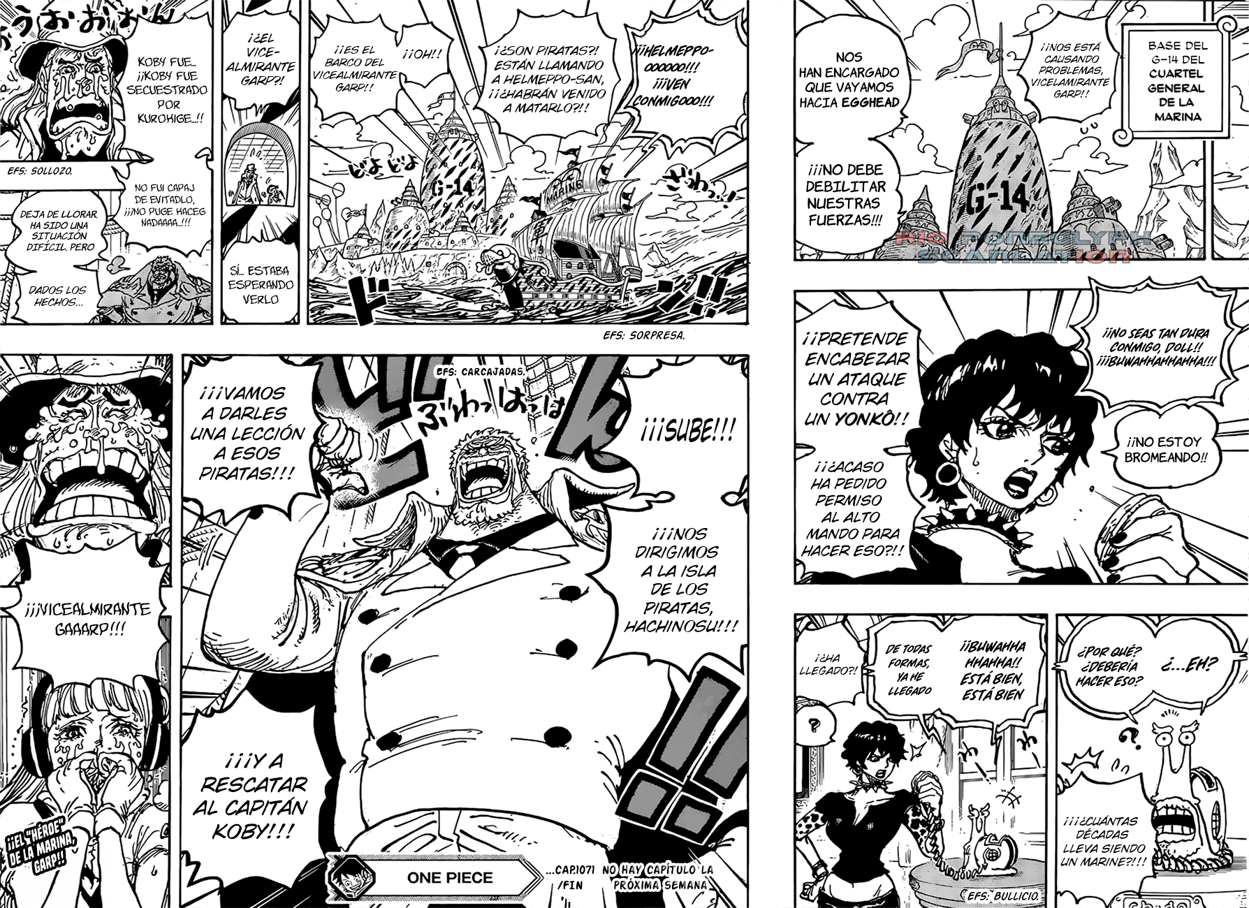 One Piece capítulo 1071 - página 14