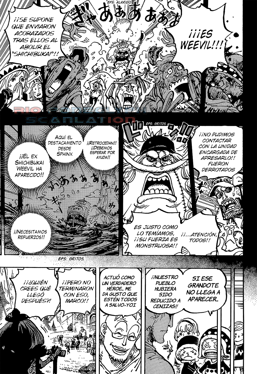One Piece capítulo 1073 - página 13