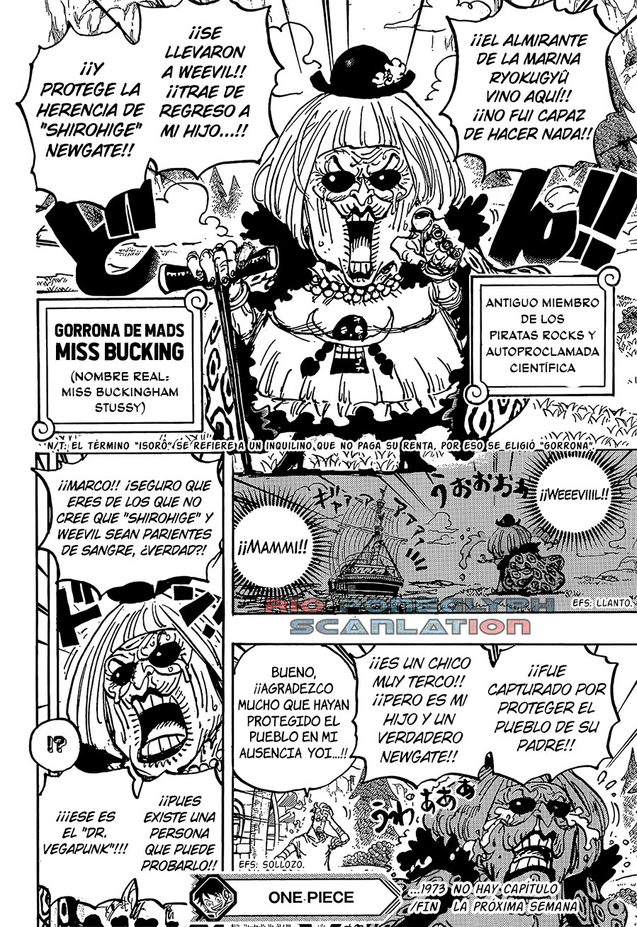 One Piece capítulo 1073 - página 14