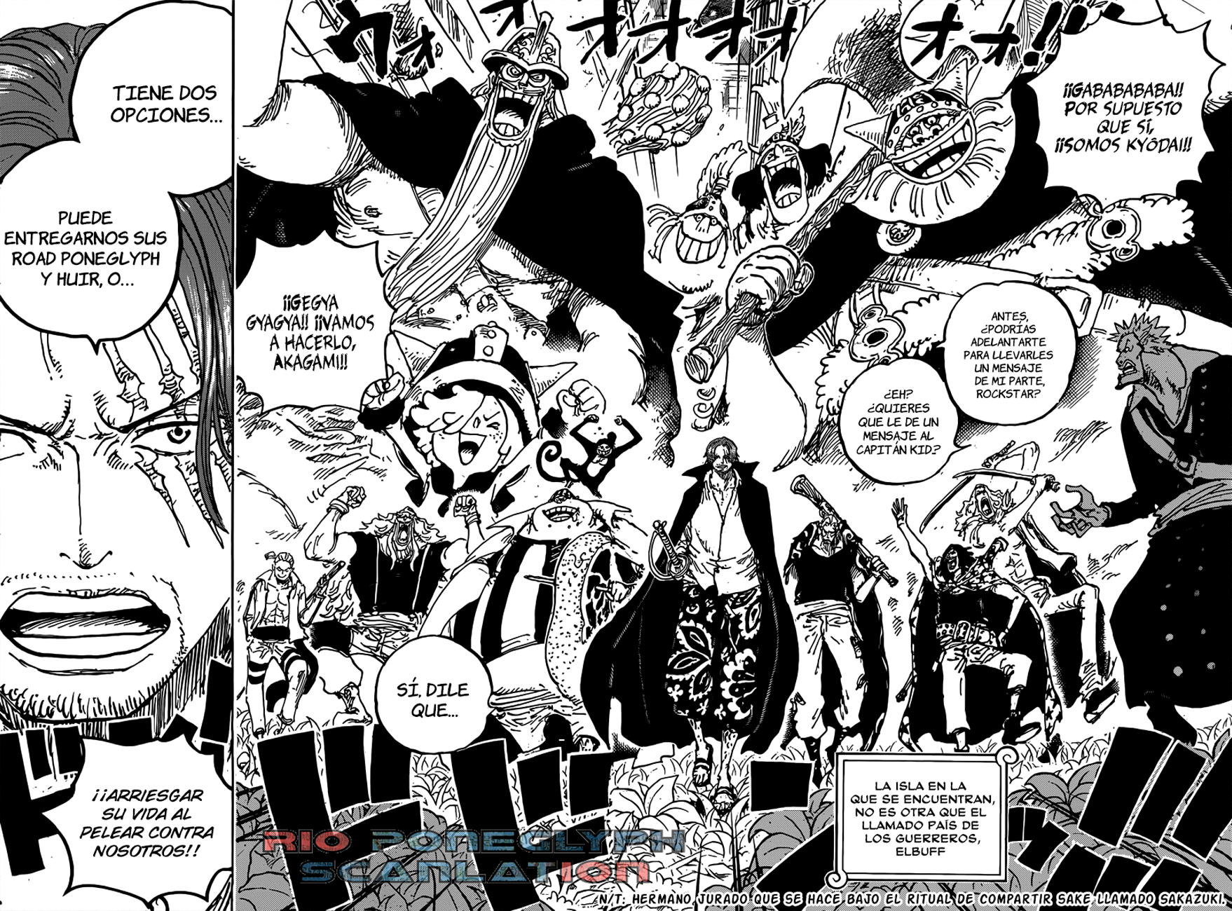 One Piece capítulo 1076 - página 13