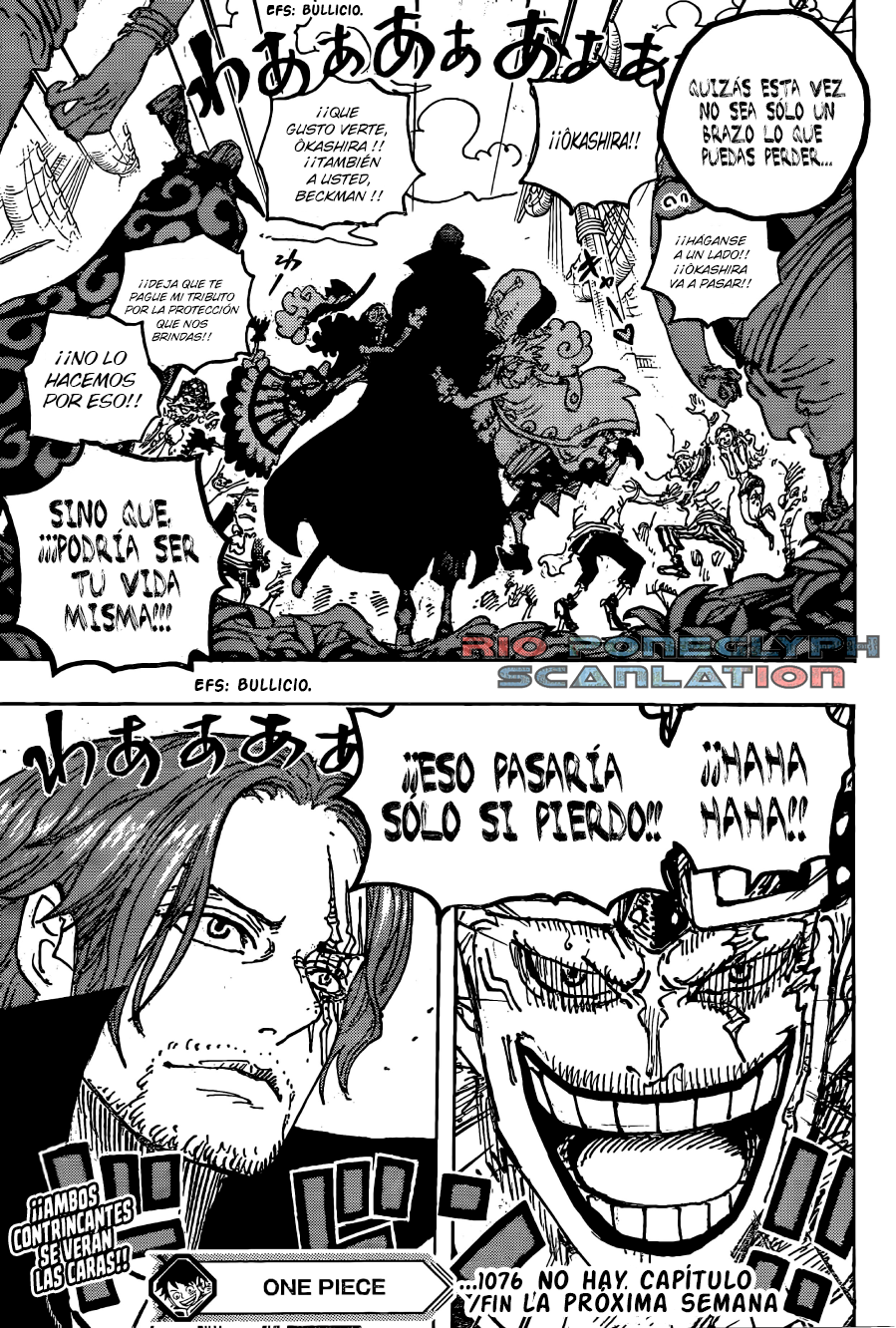 One Piece capítulo 1076 - página 15