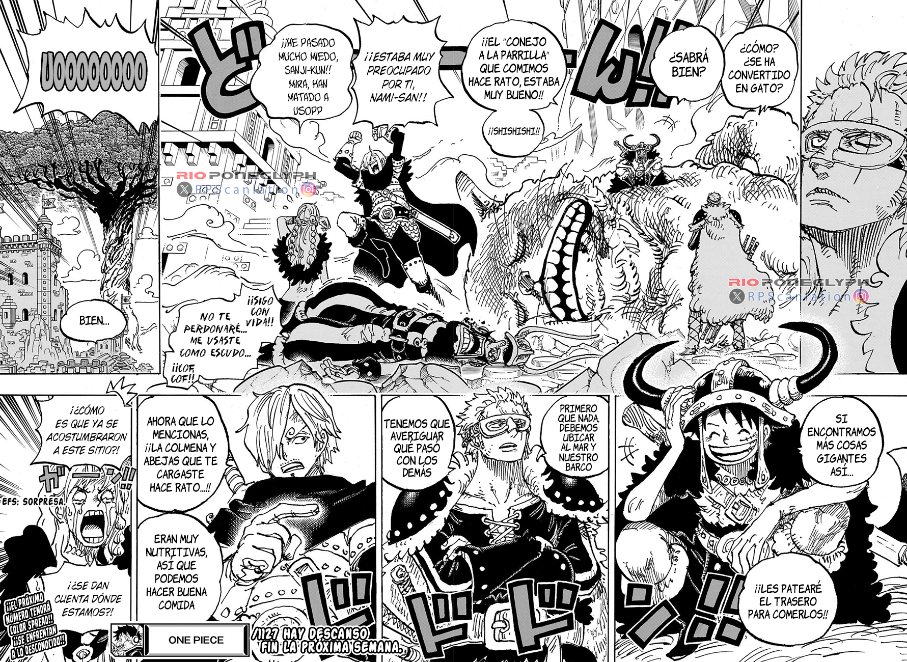 One Piece capítulo 1127 - página 13