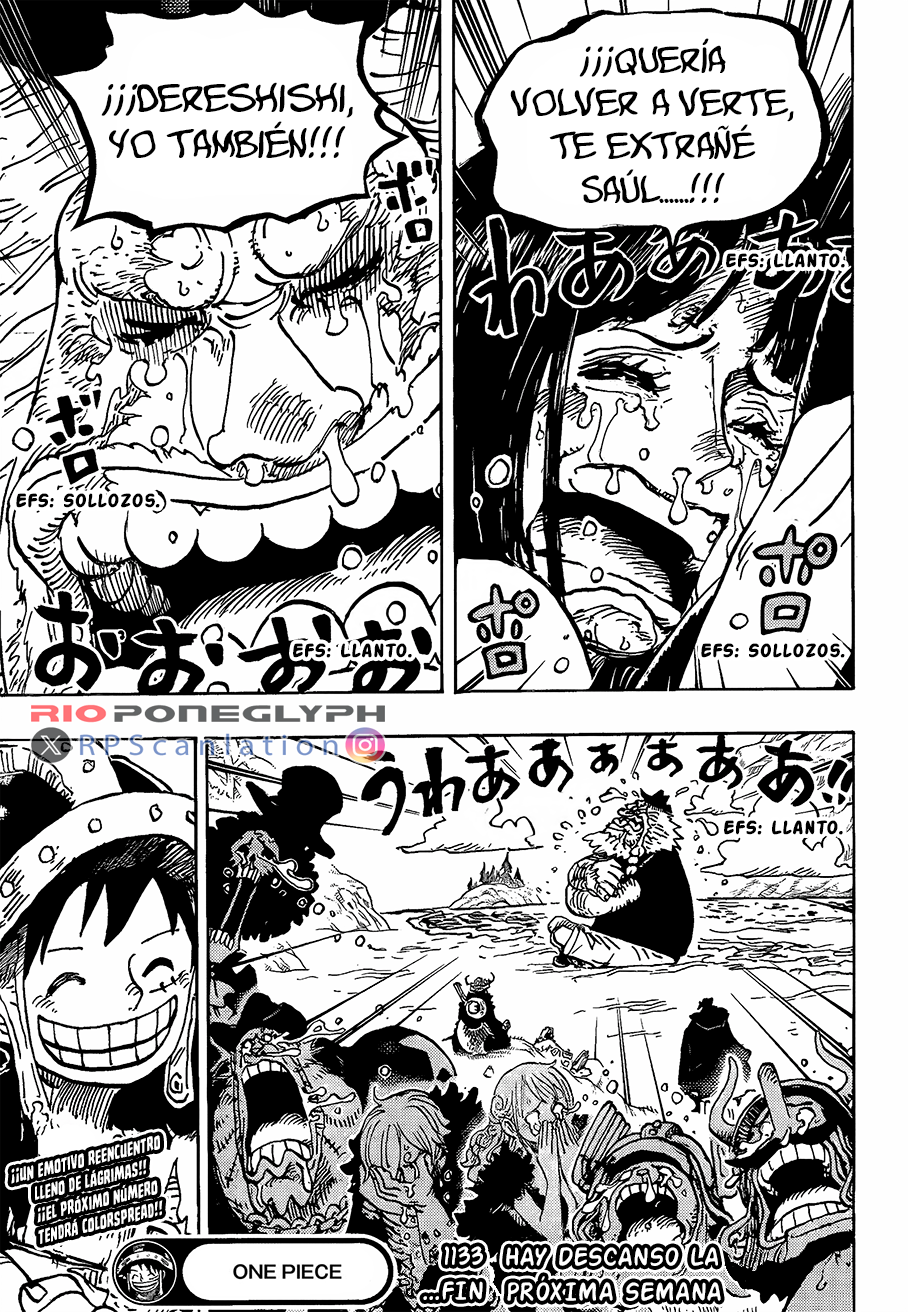 One Piece capítulo 1133 - página 15