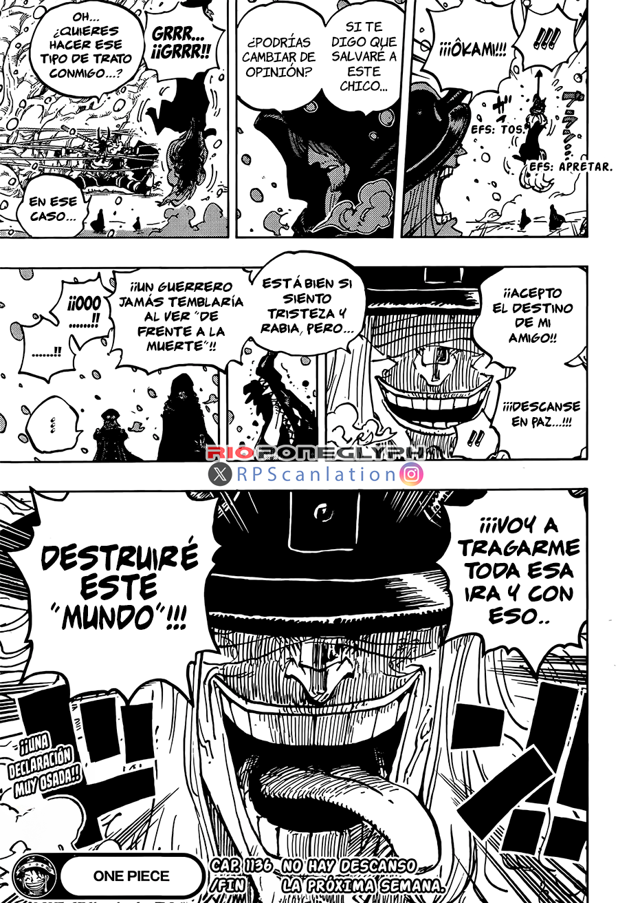 One Piece capítulo 1136 - página 17