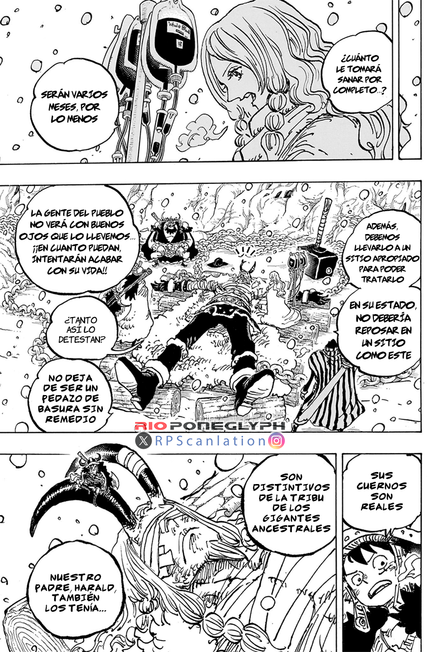 One Piece capítulo 1143 - página 14