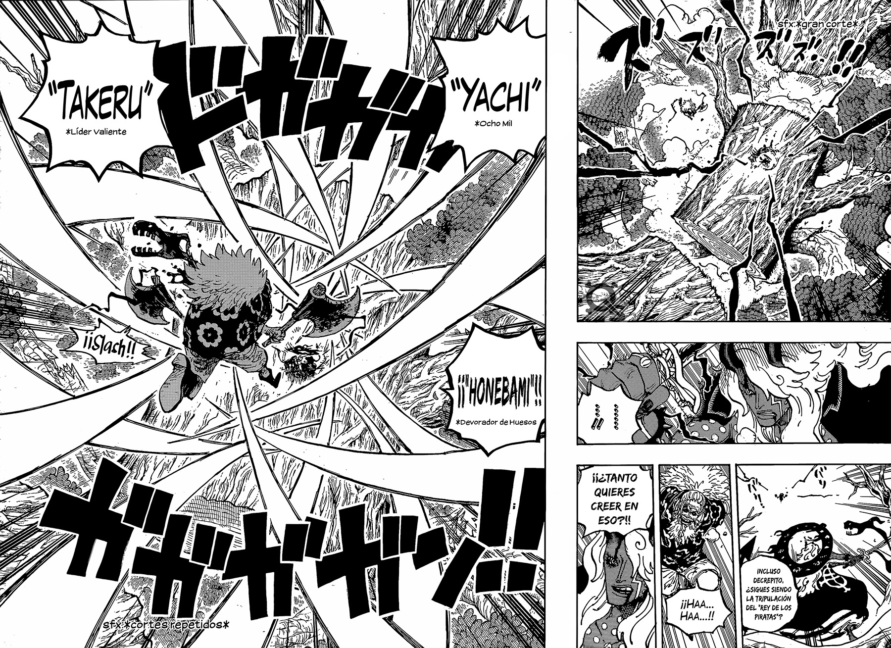 One Piece capítulo 1190 - página 13