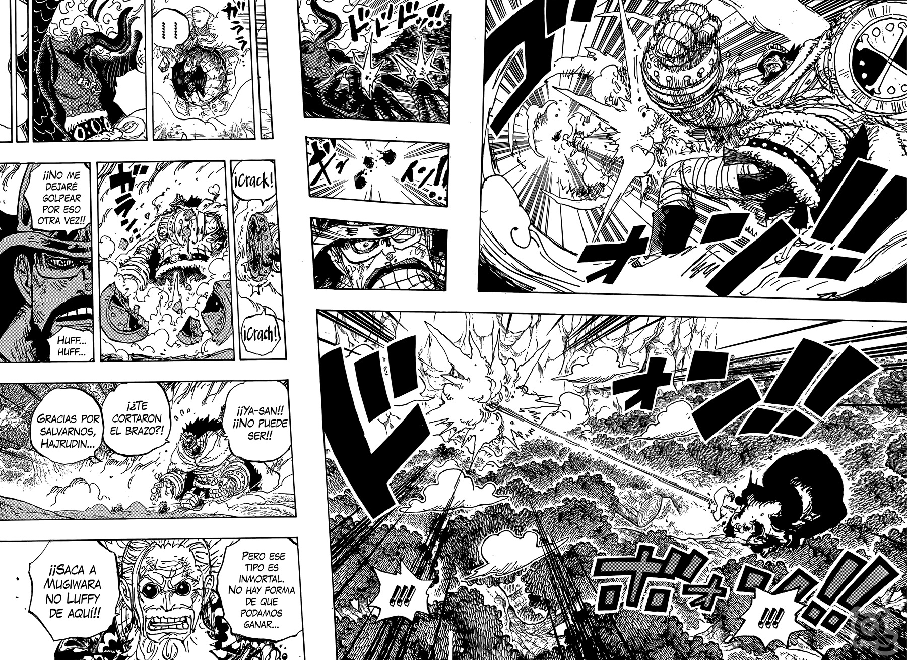 One Piece capítulo 1191 - página 9